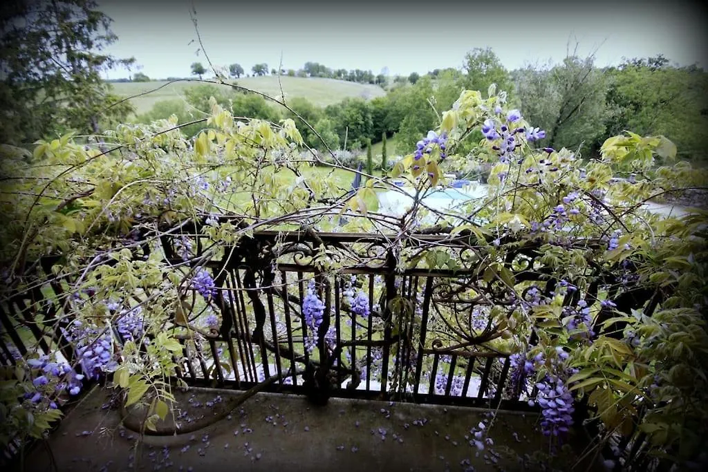 Gite Le Chant Des Tournesols Piscine Chauffee Montirat